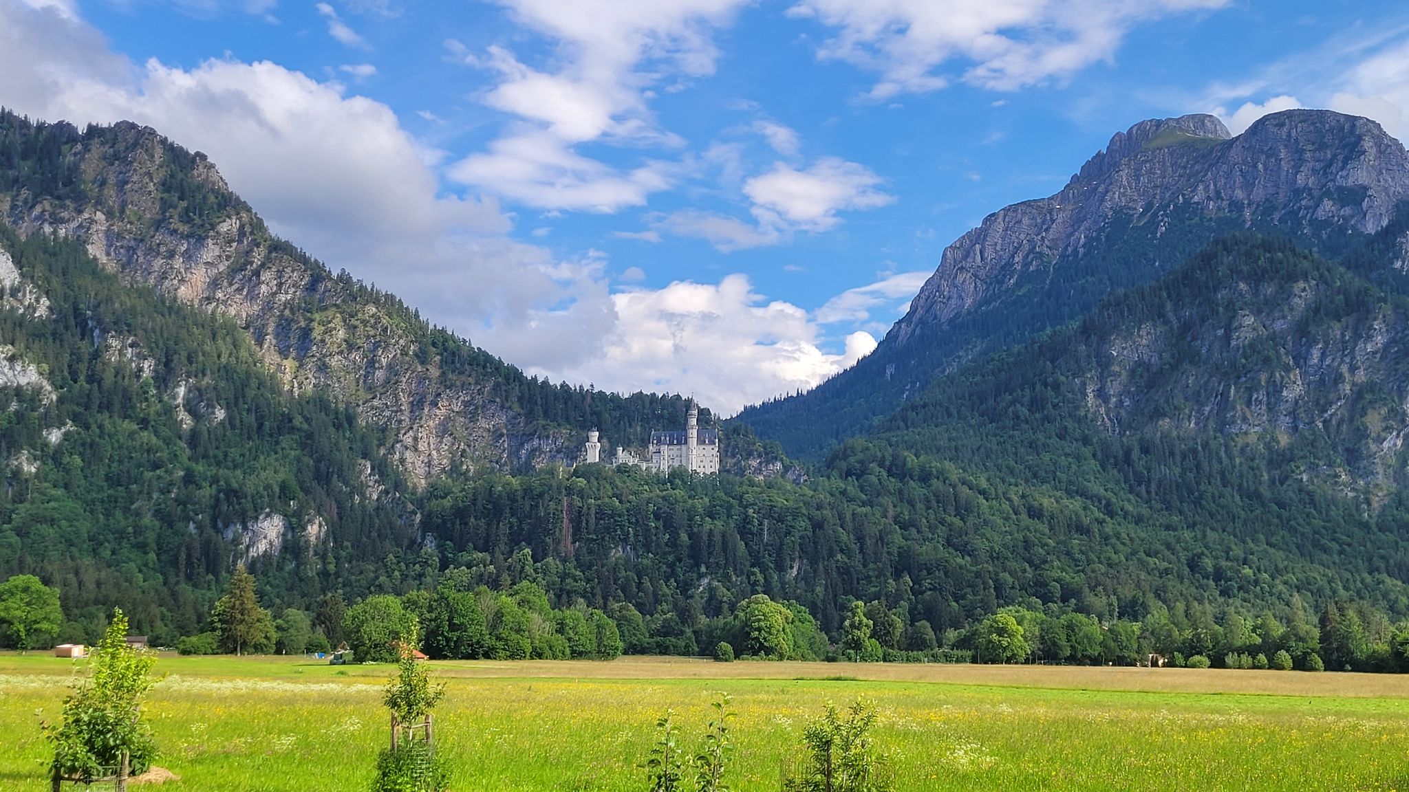Blick nach Schloss Neuschwanstein