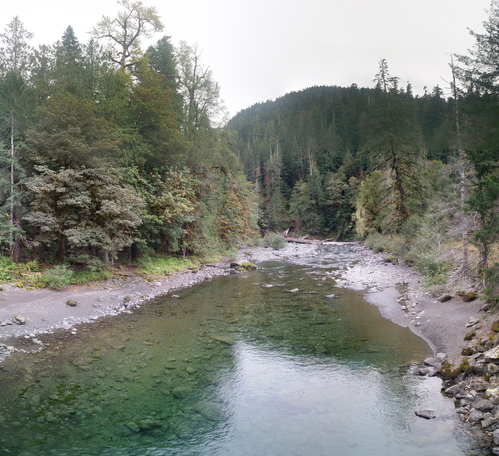 Clear river flowing through a dense green forest under an overcast sky. - Staircase Rapids Loop Trail