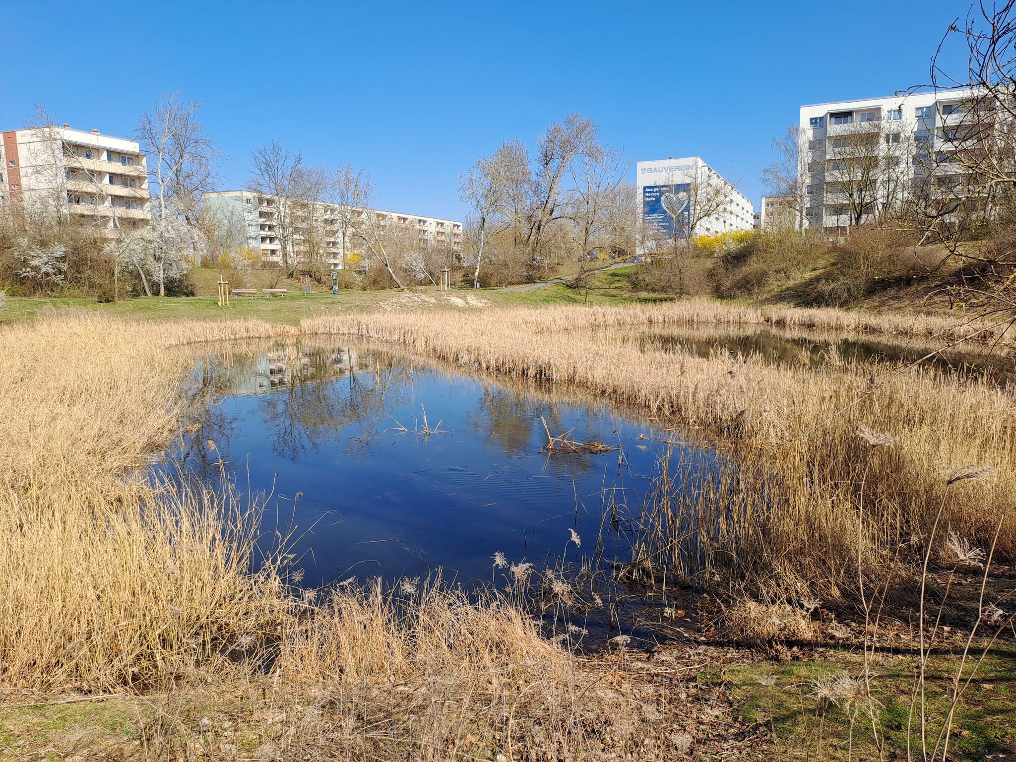 Am Kleinem Teich