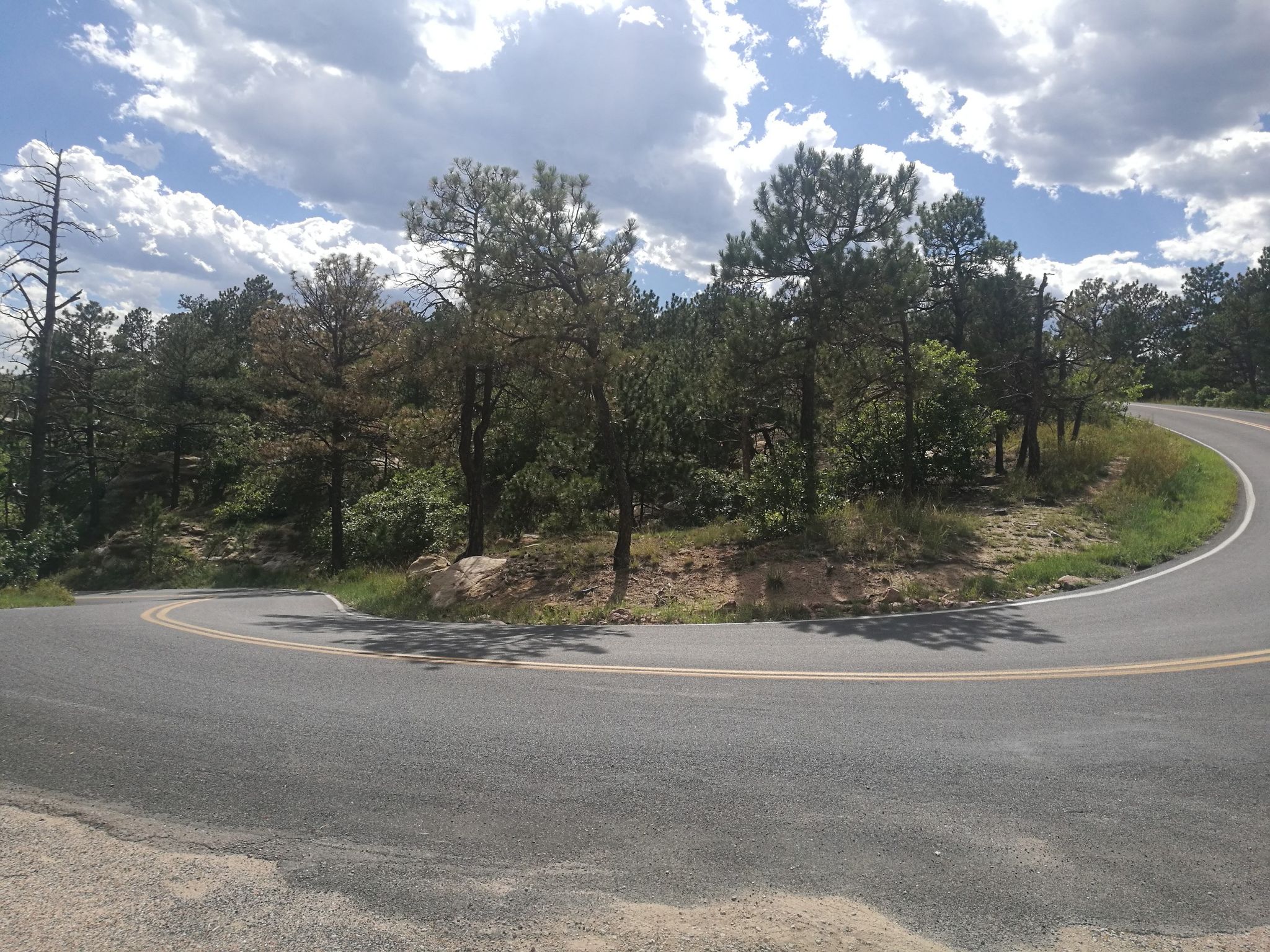 A sharp paved road curve through a dense forest under a partly cloudy sky. - Cheyenne and Grandview Trail Loop