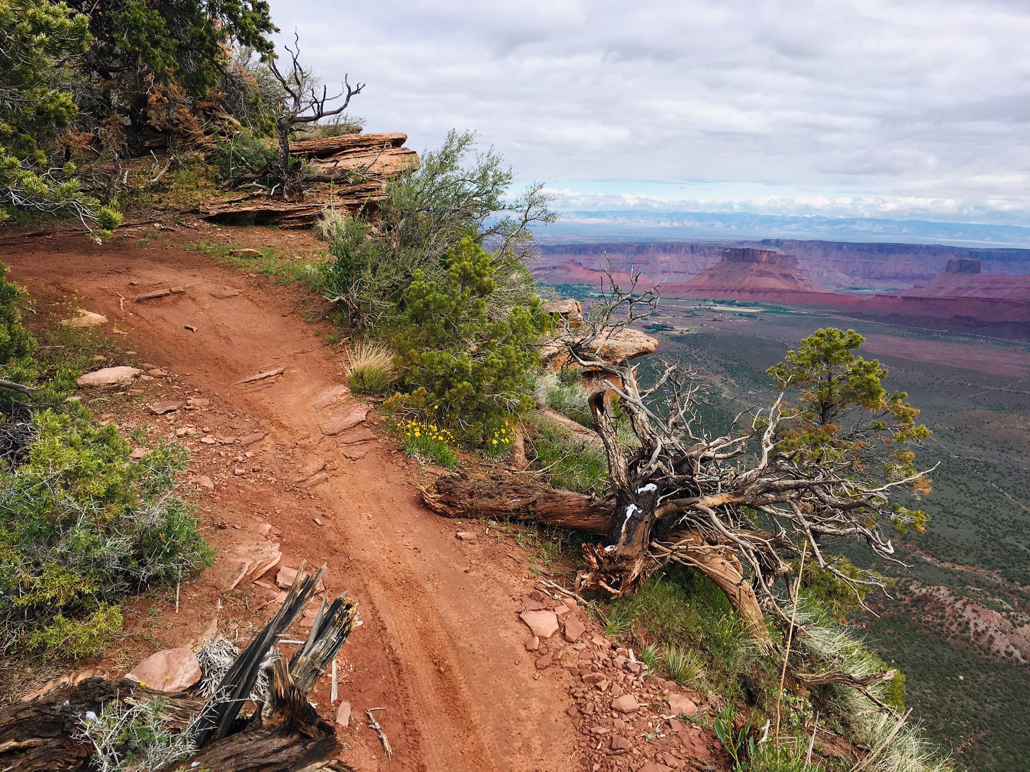 Red dirt trail on a cliff edge overlooking a vast canyon. Cloudy sky. - The Whole Enchilada