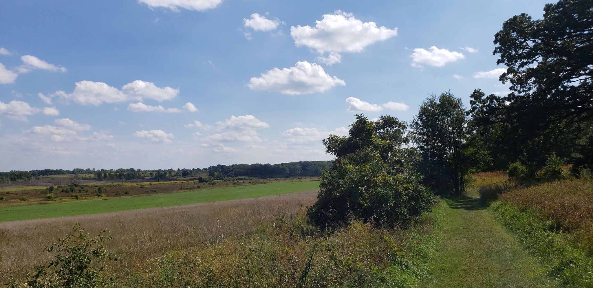 Grassy path winding through sunny fields with distant trees under a blue sky. - Glacial Park Conservation Area – Camelback Kame loop from Tryon Creek Woods