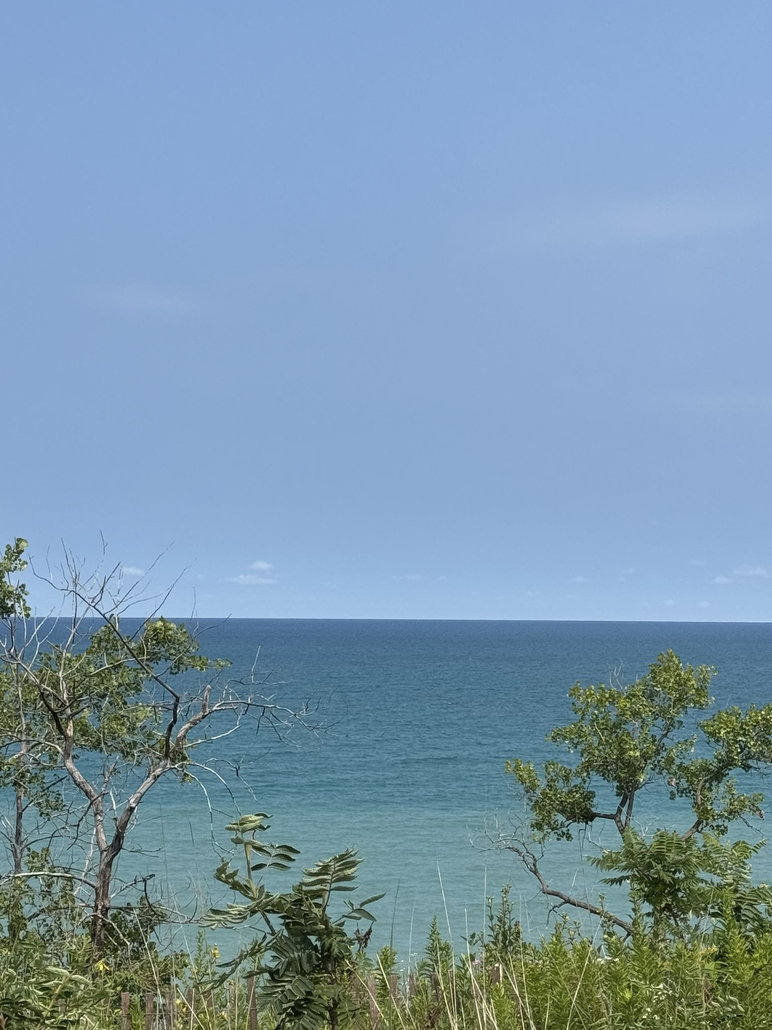 Expansive blue water under a clear sky, framed by green foliage. - Fort Sheridan and Green Bay Trail Loop