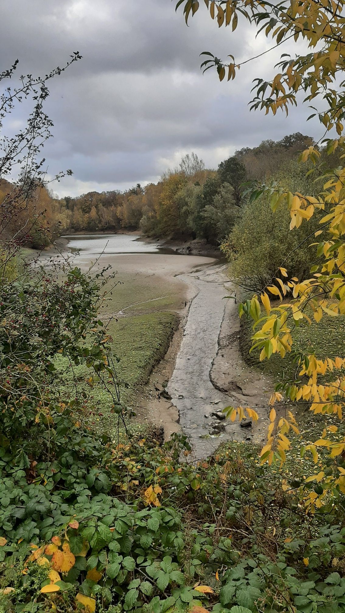 punt van het lac