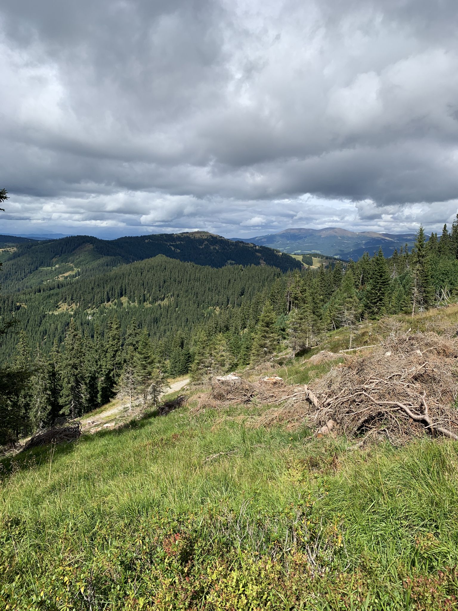 Hohenwart ⛰