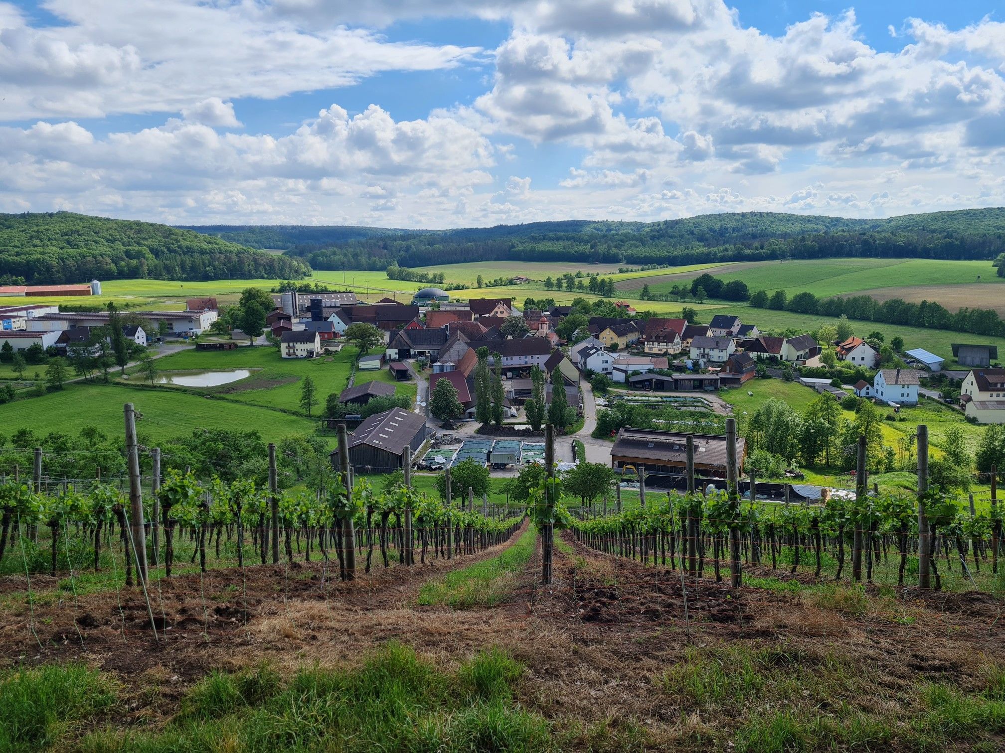 Walddachsbach