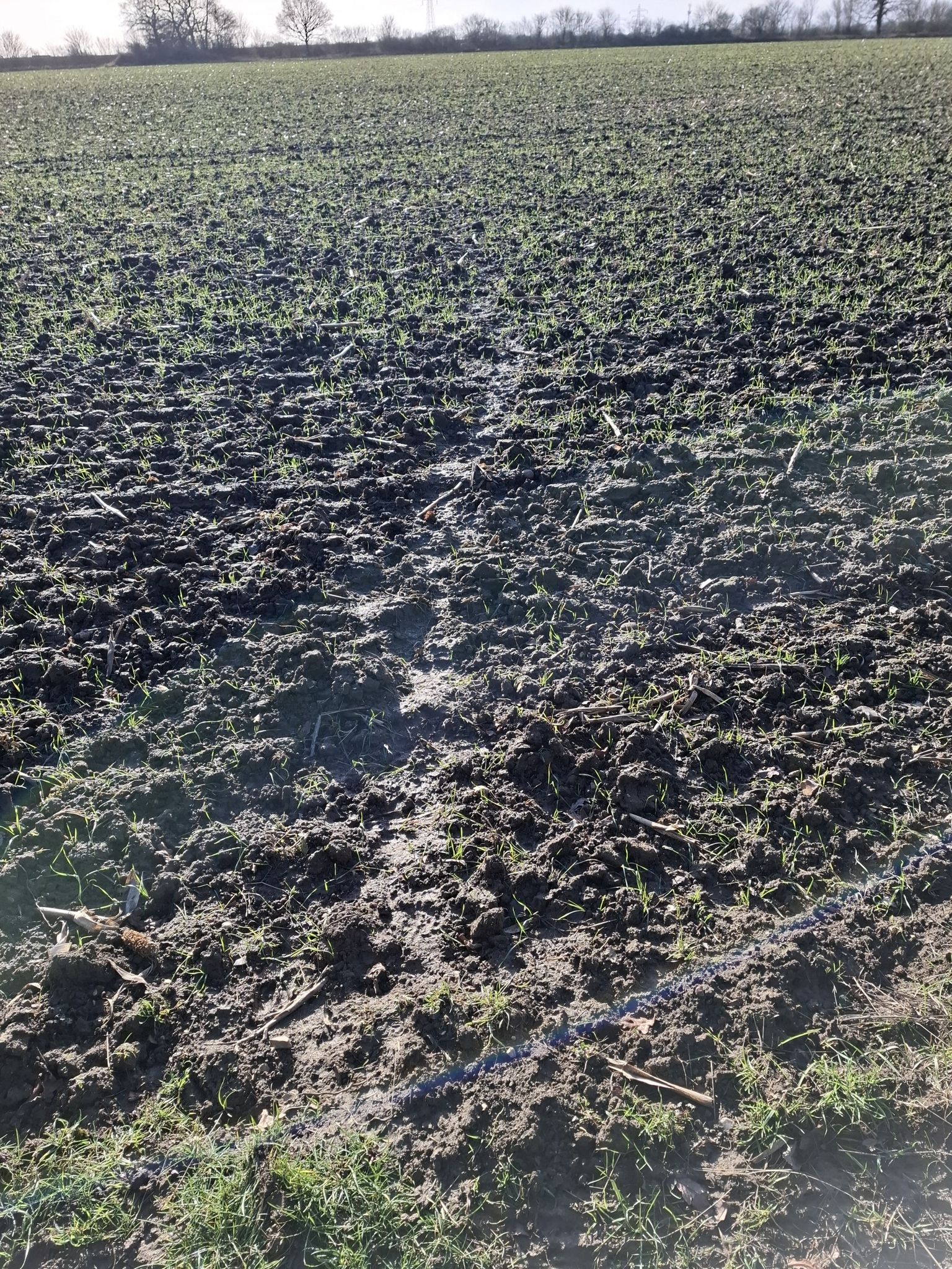 Path runs out!