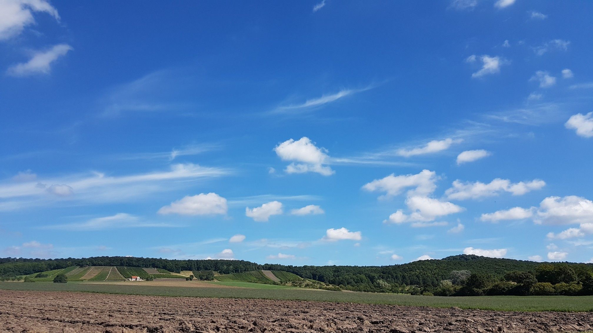 Weigenheimer Wein mut Hohenlandsberg 