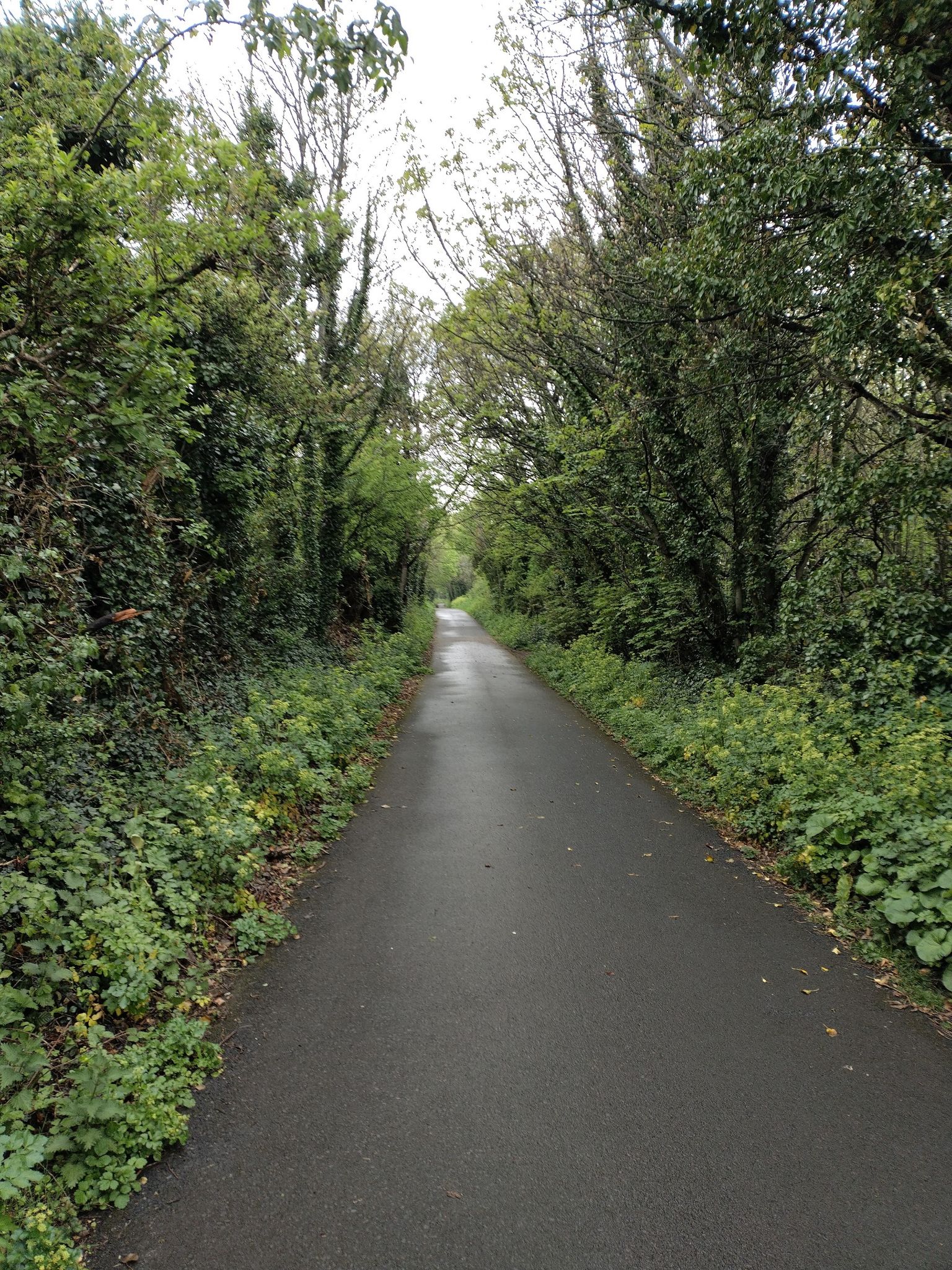 Lovely track for cycling