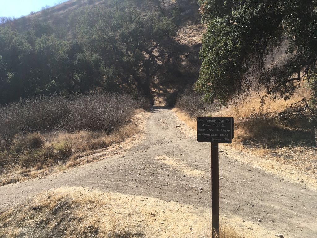 A dirt road forks, with a signpost, surrounded by dry grass and trees. - Cheeseboro Canyon and Modelo Trail Loop
