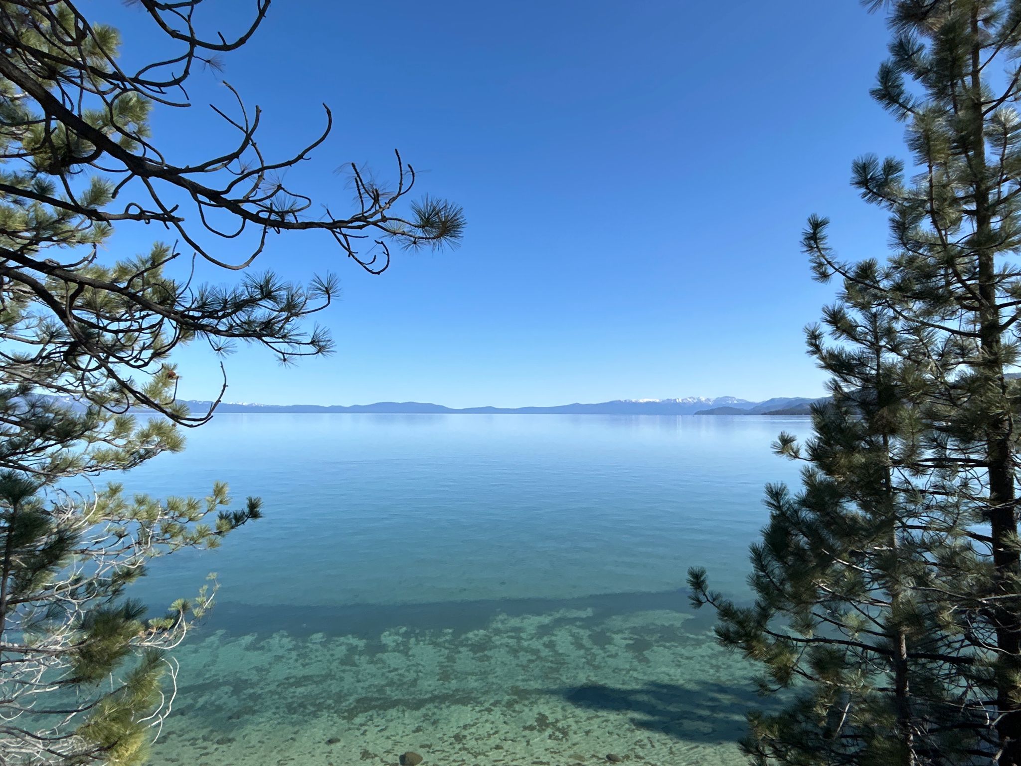 Clear blue lake framed by pine trees under a bright sky. - Stateline-South Lake Tahoe – South Lake Tahoe loop from Van Sickle Bi-State Park
