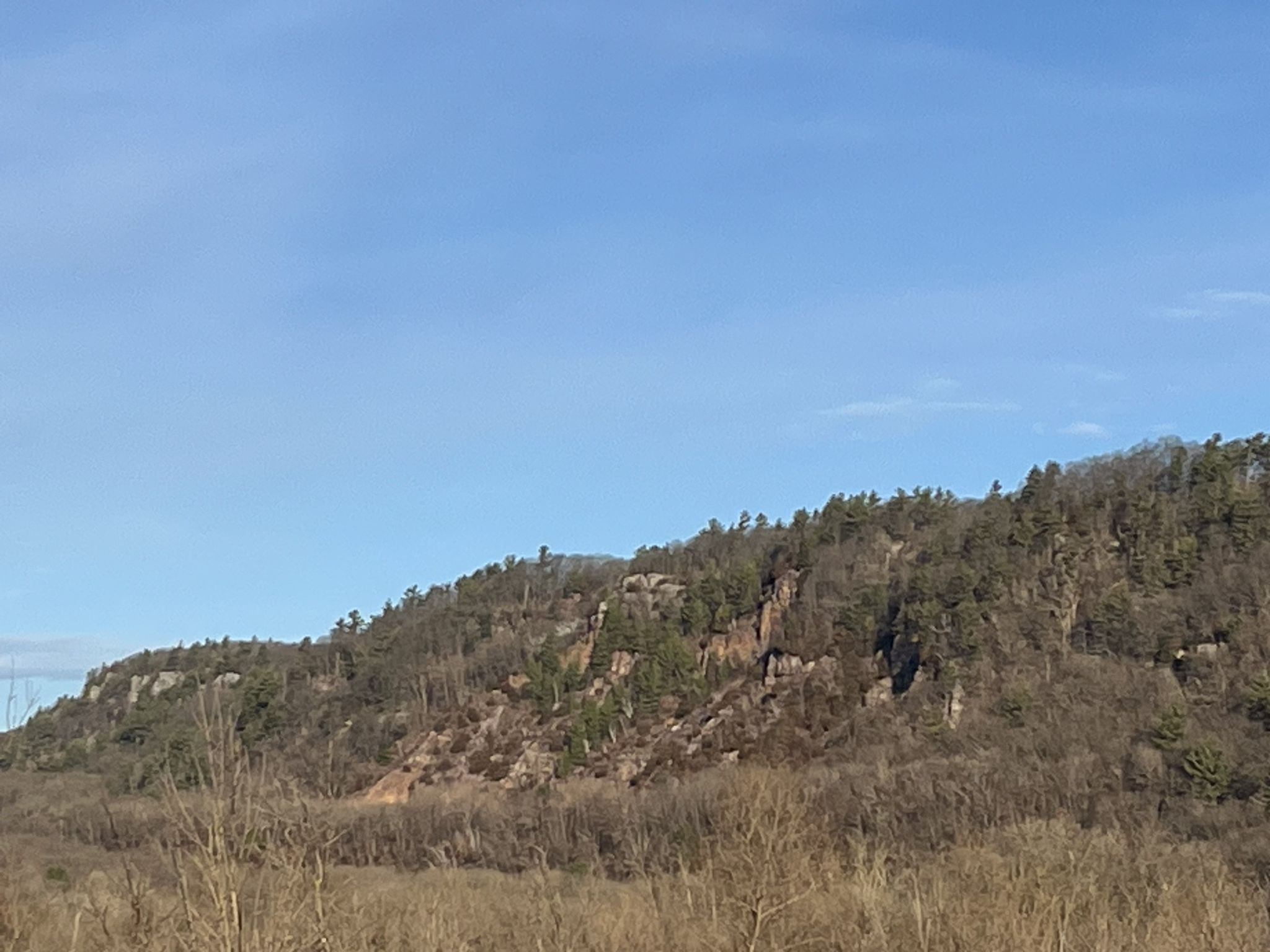 Forested hillside with rocky cliffs and sparse trees under a clear blue sky. - Ice Age Trail: Devil's Lake Segment