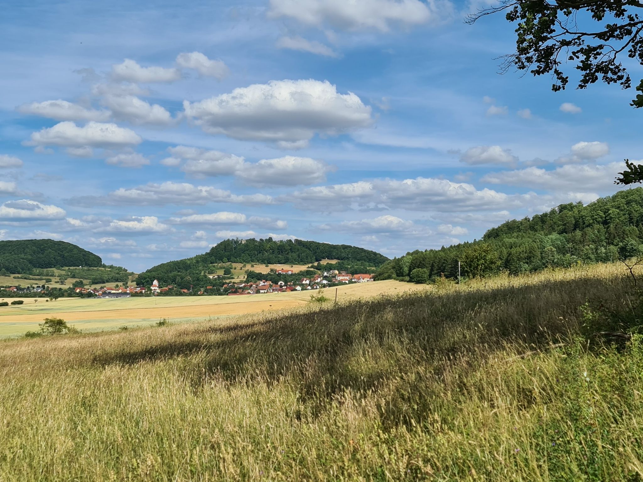 Henneberg