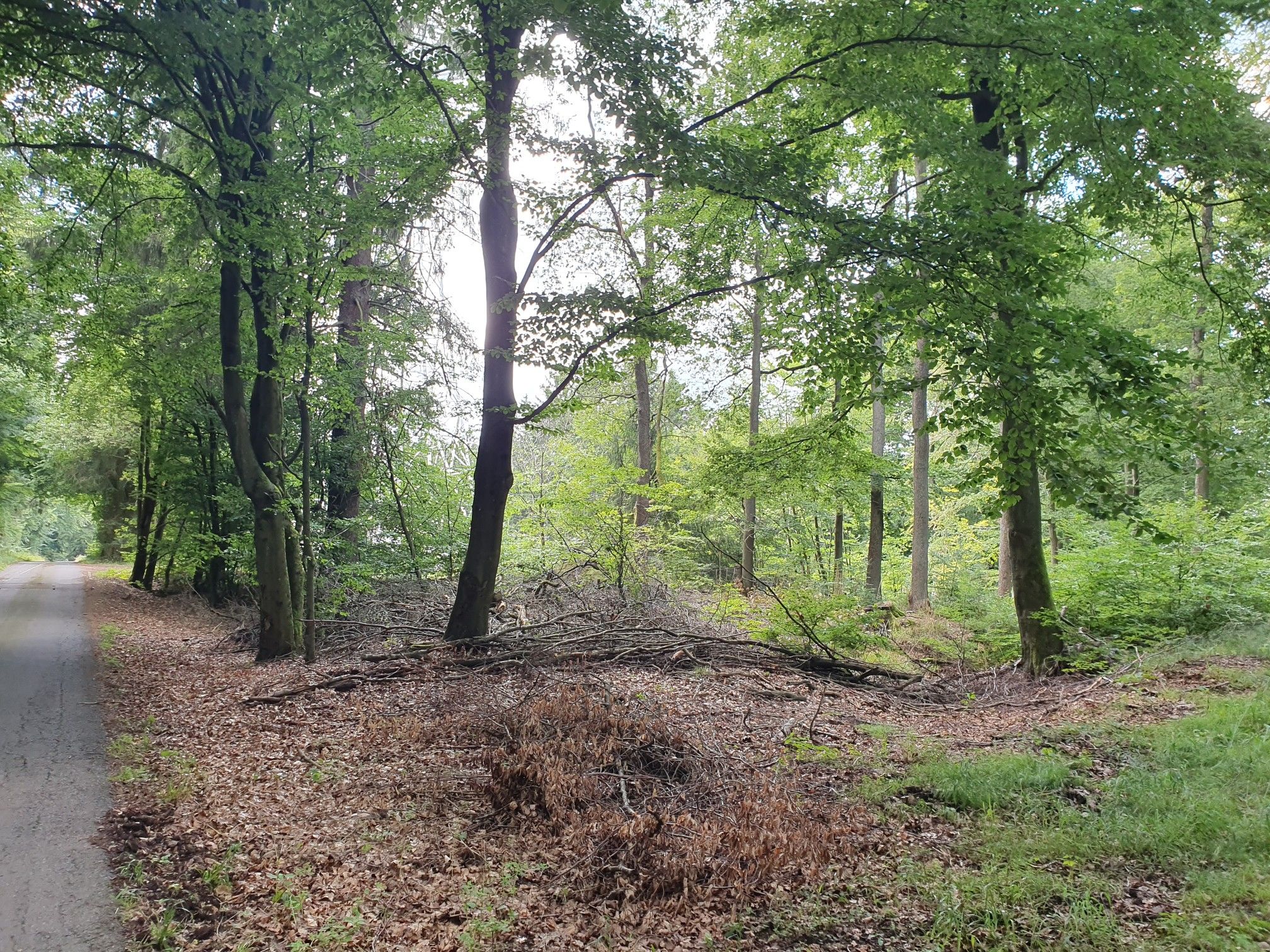 Am Funkturm
