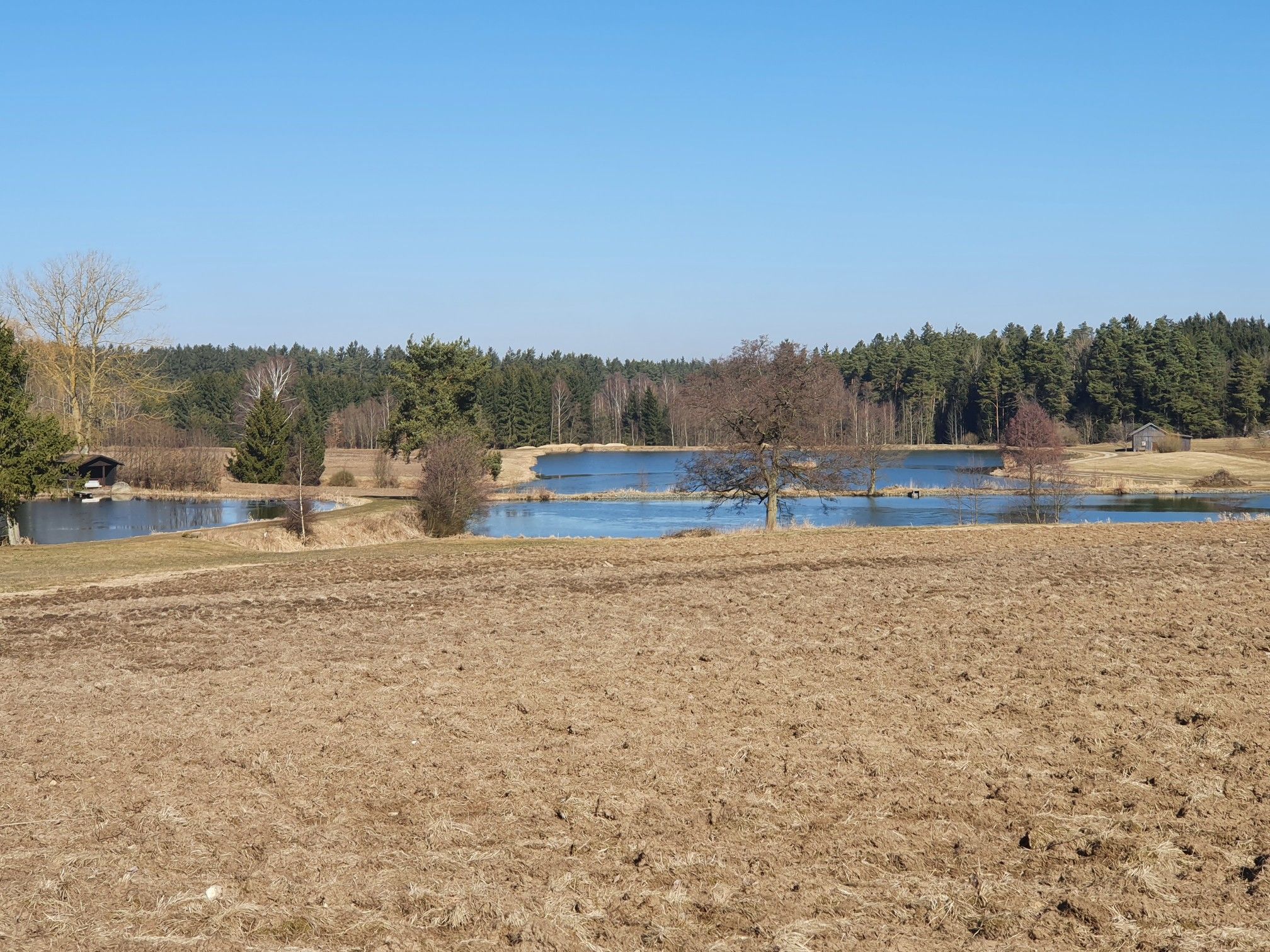 Weiherlandschaft