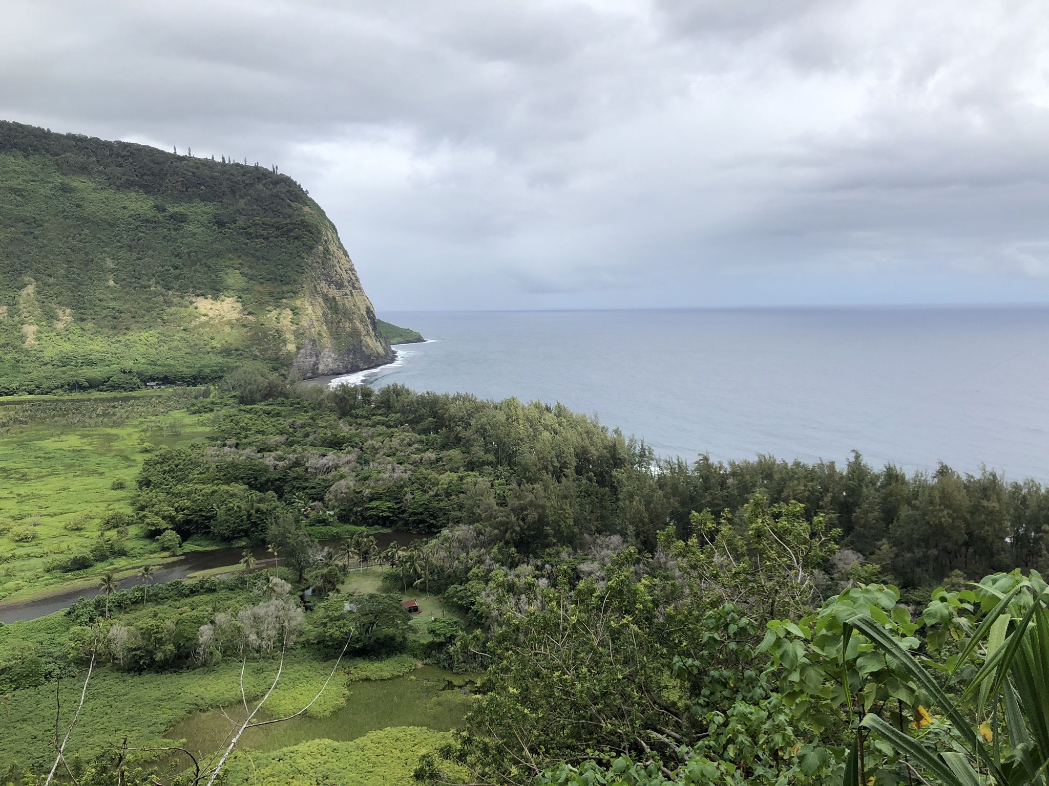 Overcast view of a green valley, coastal cliff, and dark ocean. - Waipi'o Valley Road Trail