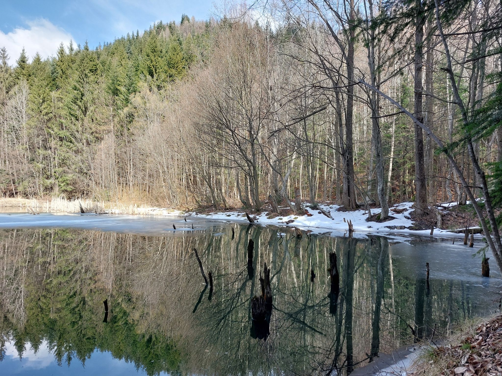 Lacul Cuejdel II,parțial înghețat