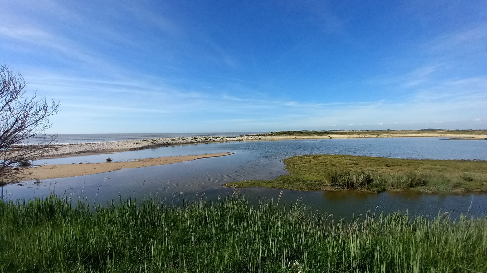 Naturschutzgebiet Radweg 13