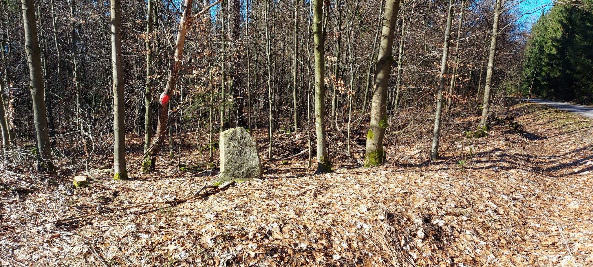 den waldarbeotern