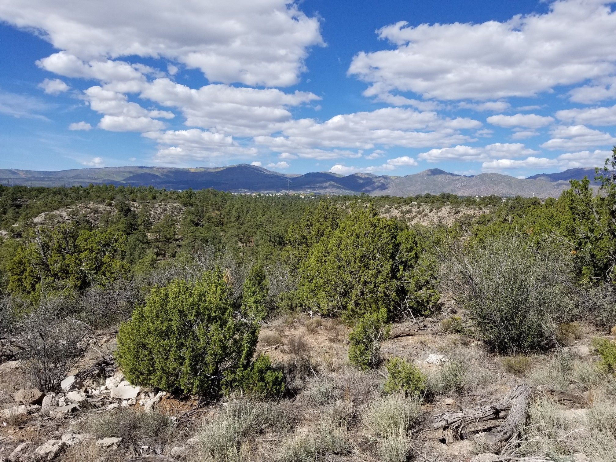A vast landscape of green trees and hills under a bright, cloudy sky. - Canyon Rim Loop