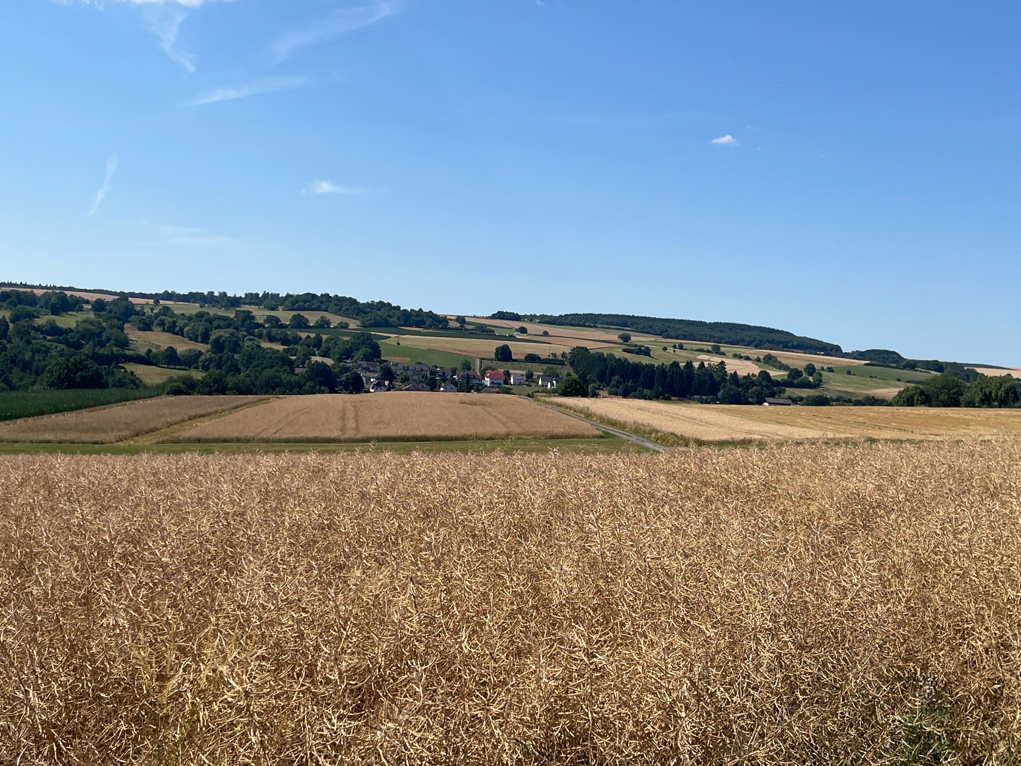 Blick nach Wolferborn