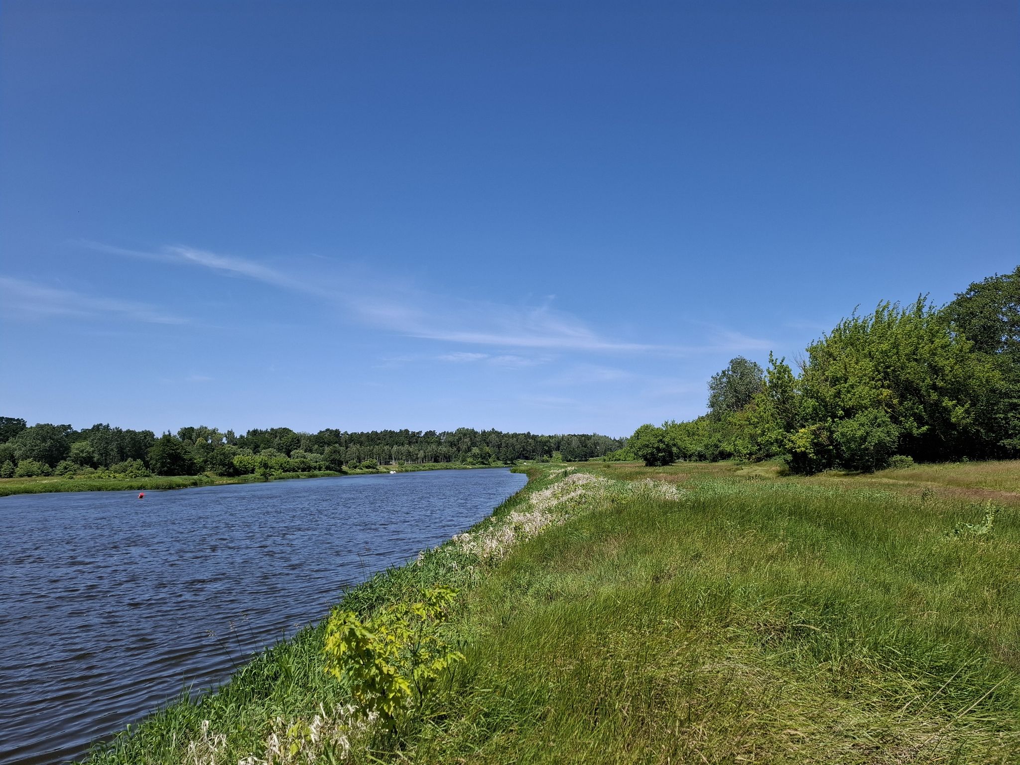 Widoki na Narew