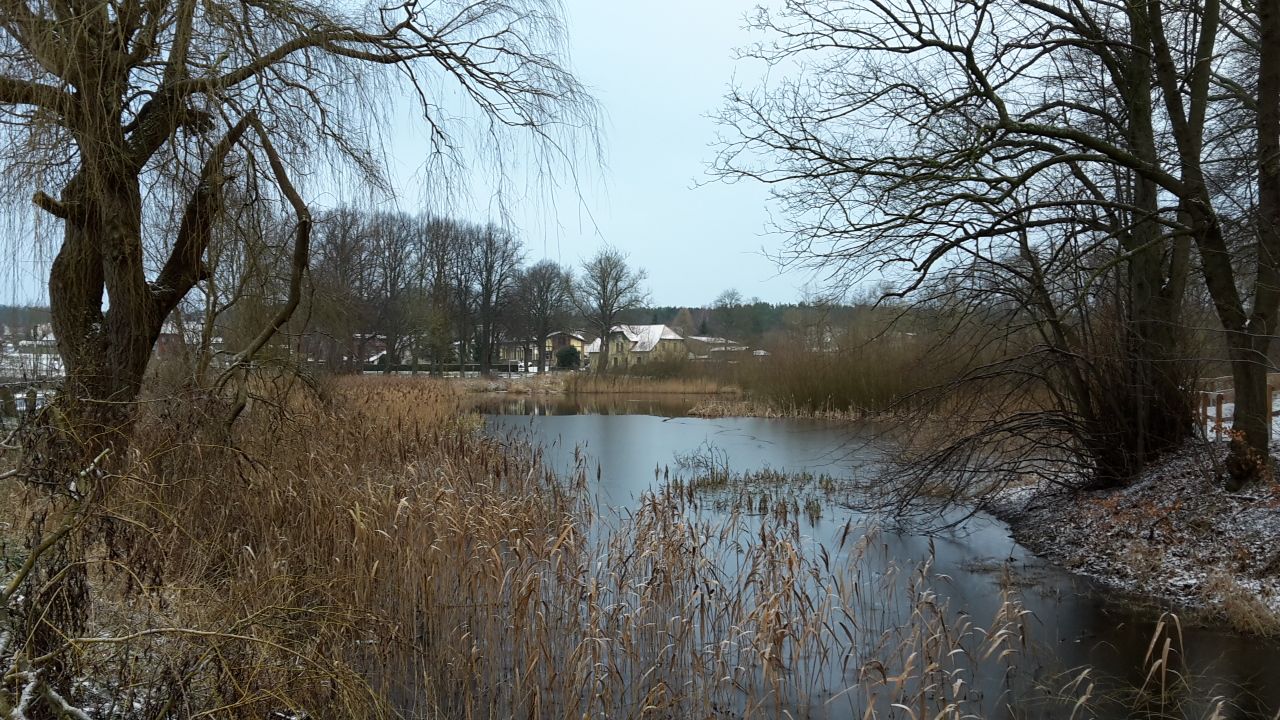 Mühlenteich