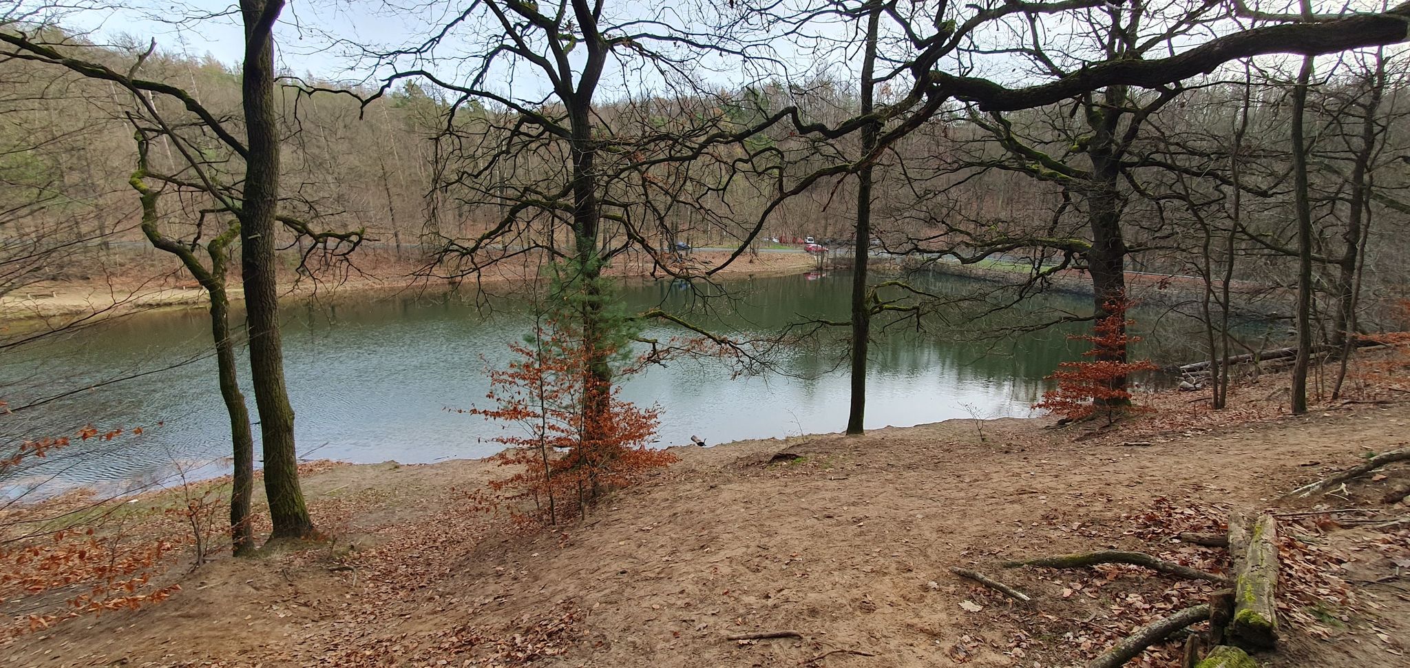 Spitzgrundteich