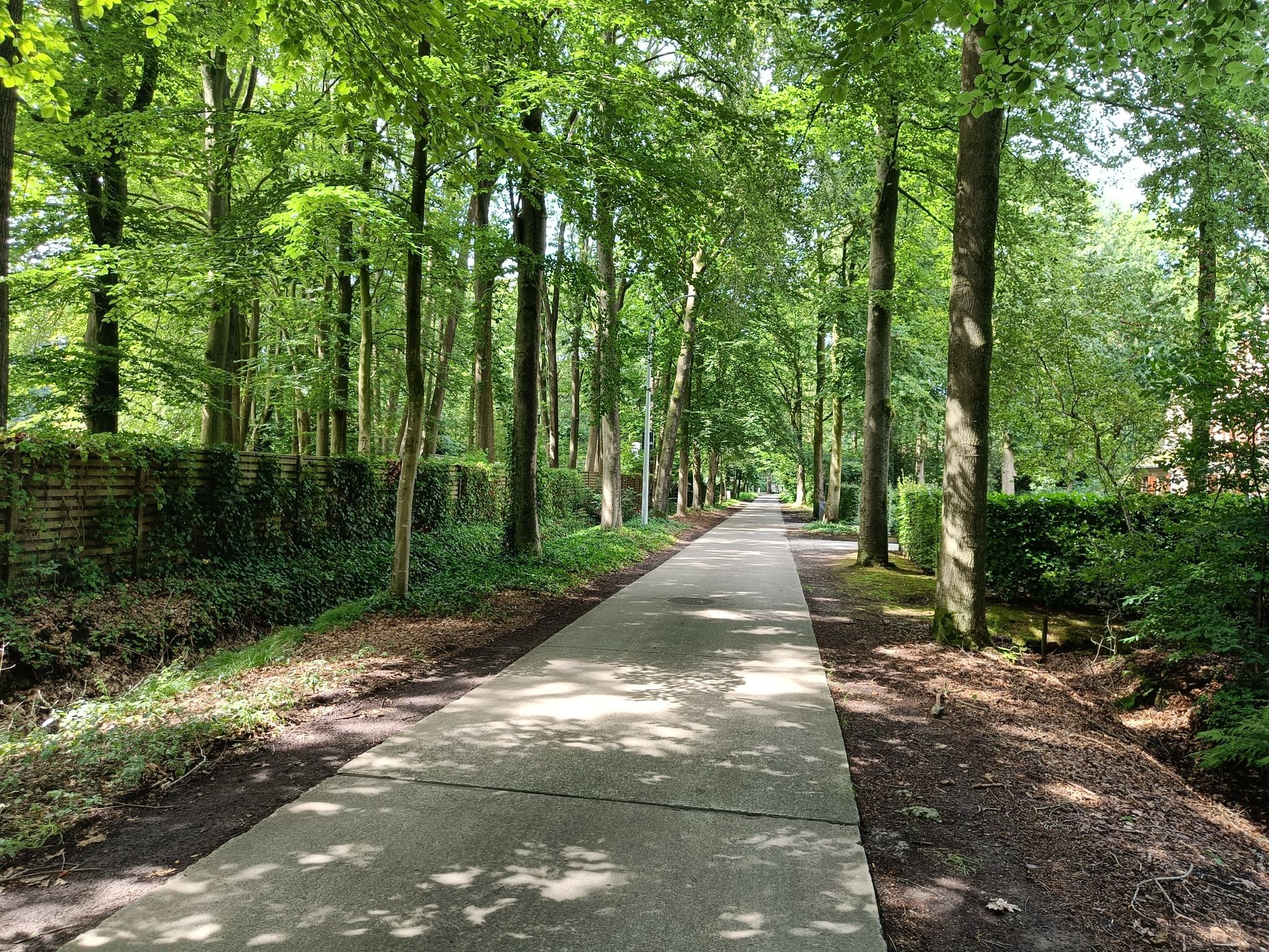 Kraenepoelstraat