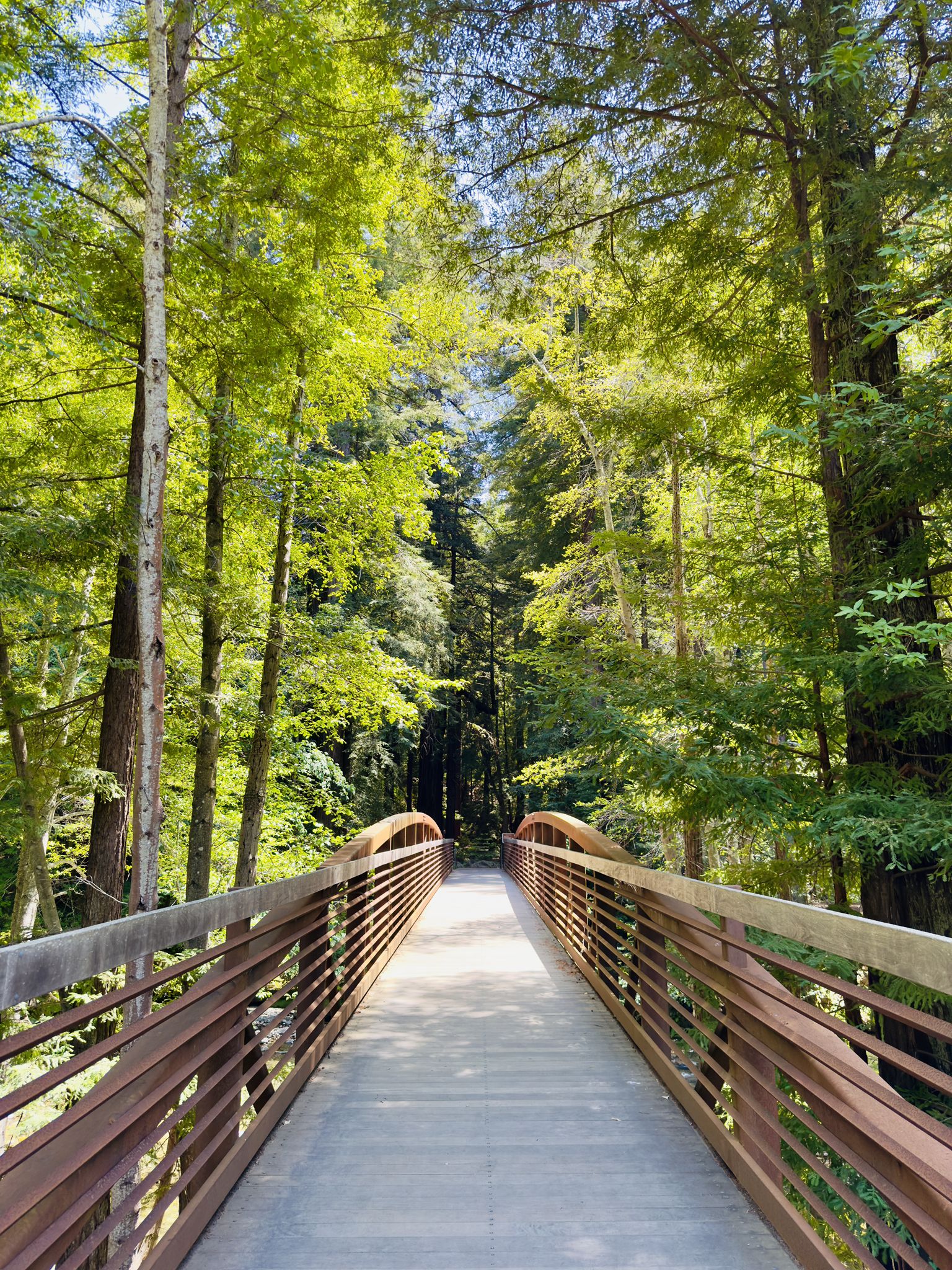A sunny wooden bridge extends into a lush green forest. - Pfeiffer Big Sur Campground Walk
