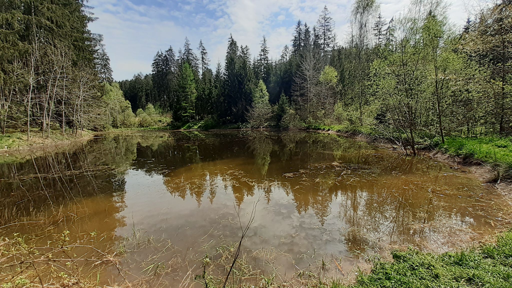 Ebersthäuser Teich.  War ganz früher ein Schwimmbad.