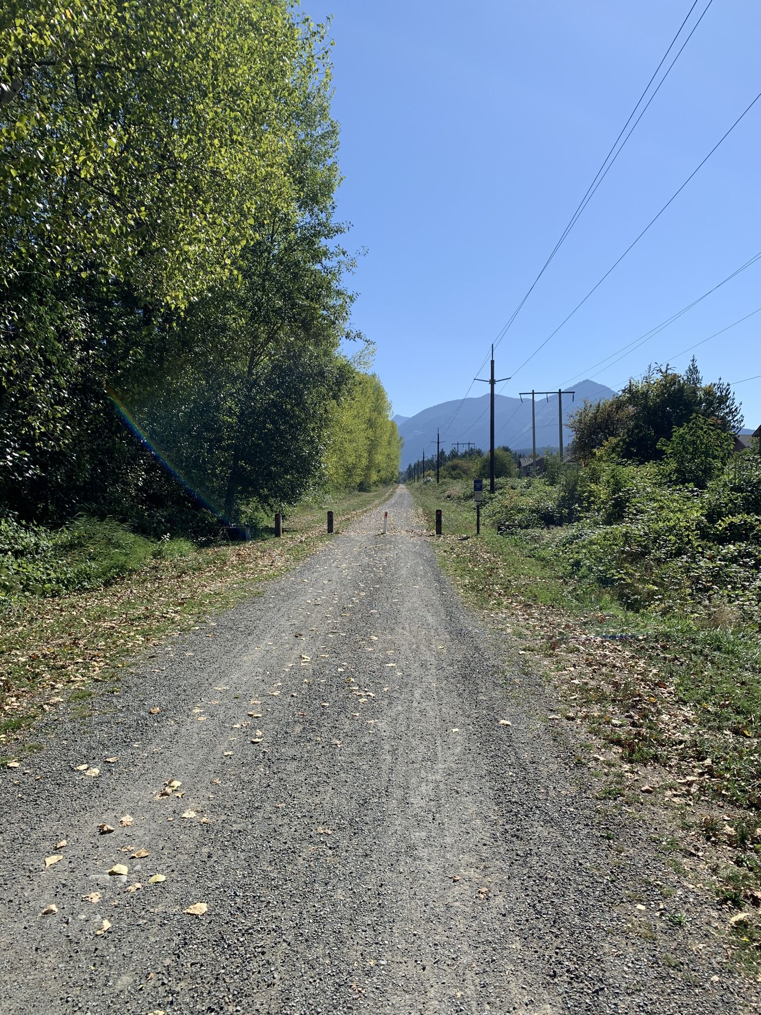 Long gravel path lined with green trees and power lines on a sunny day. - Snoqualmie Valley Trail loop from North Bend