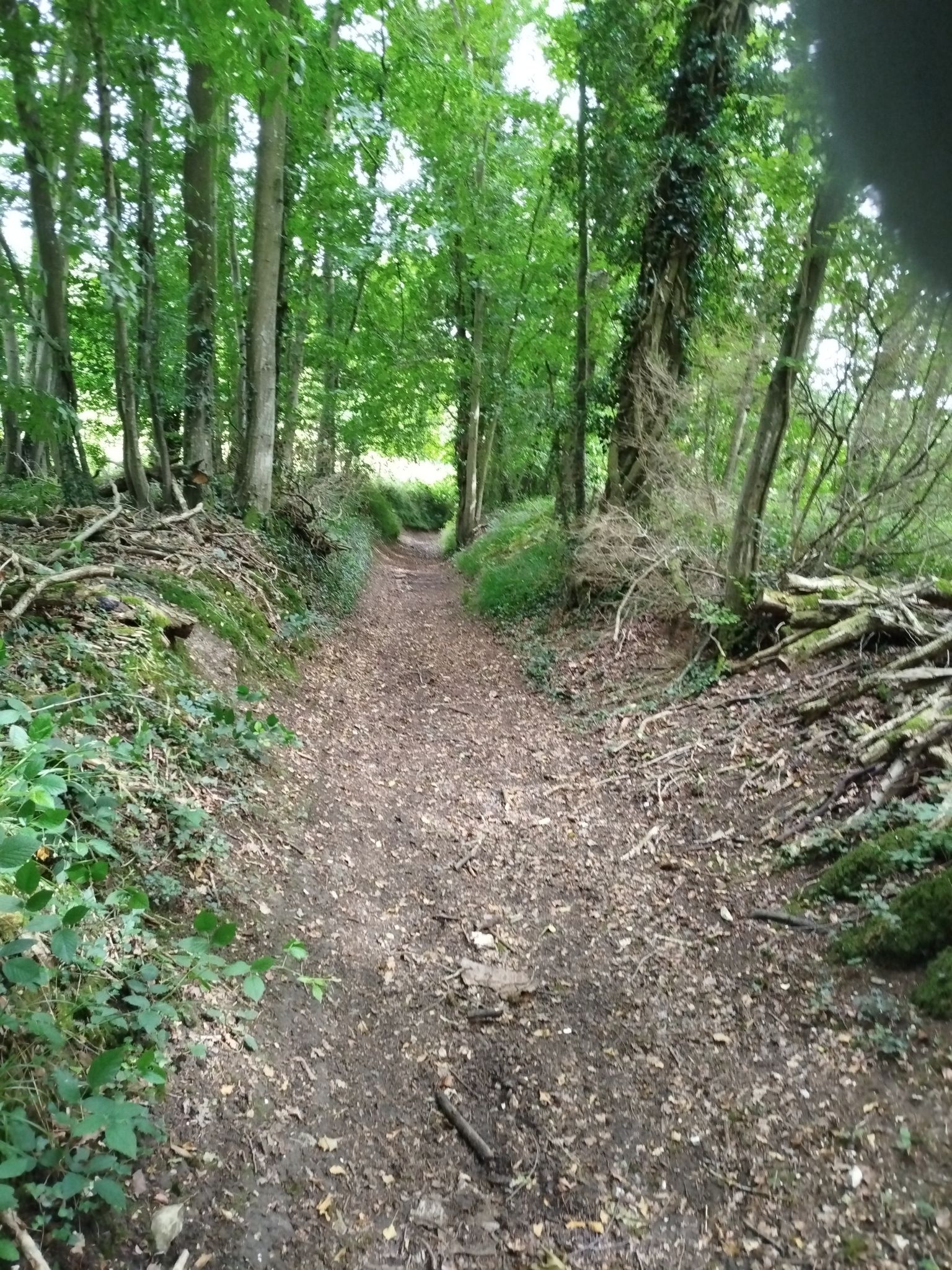 chemin