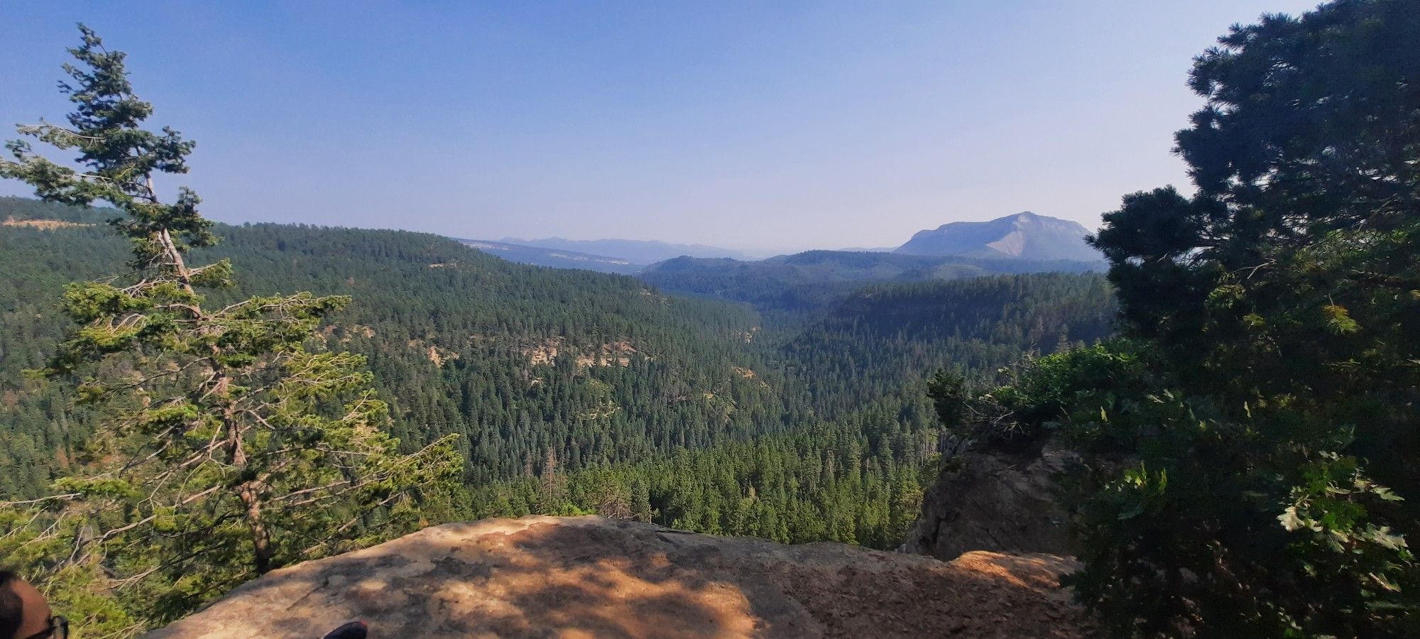 A panoramic view of a vast green forest and distant mountains from a cliff edge. - Dry Fork Loop Trail