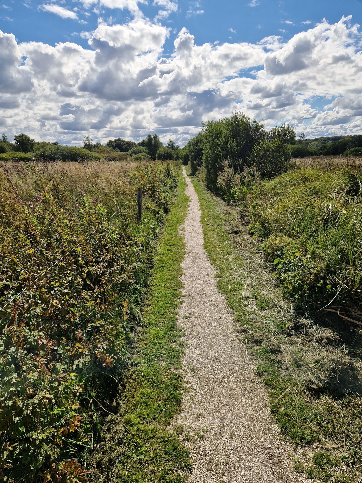 Wanderweg Teil 2