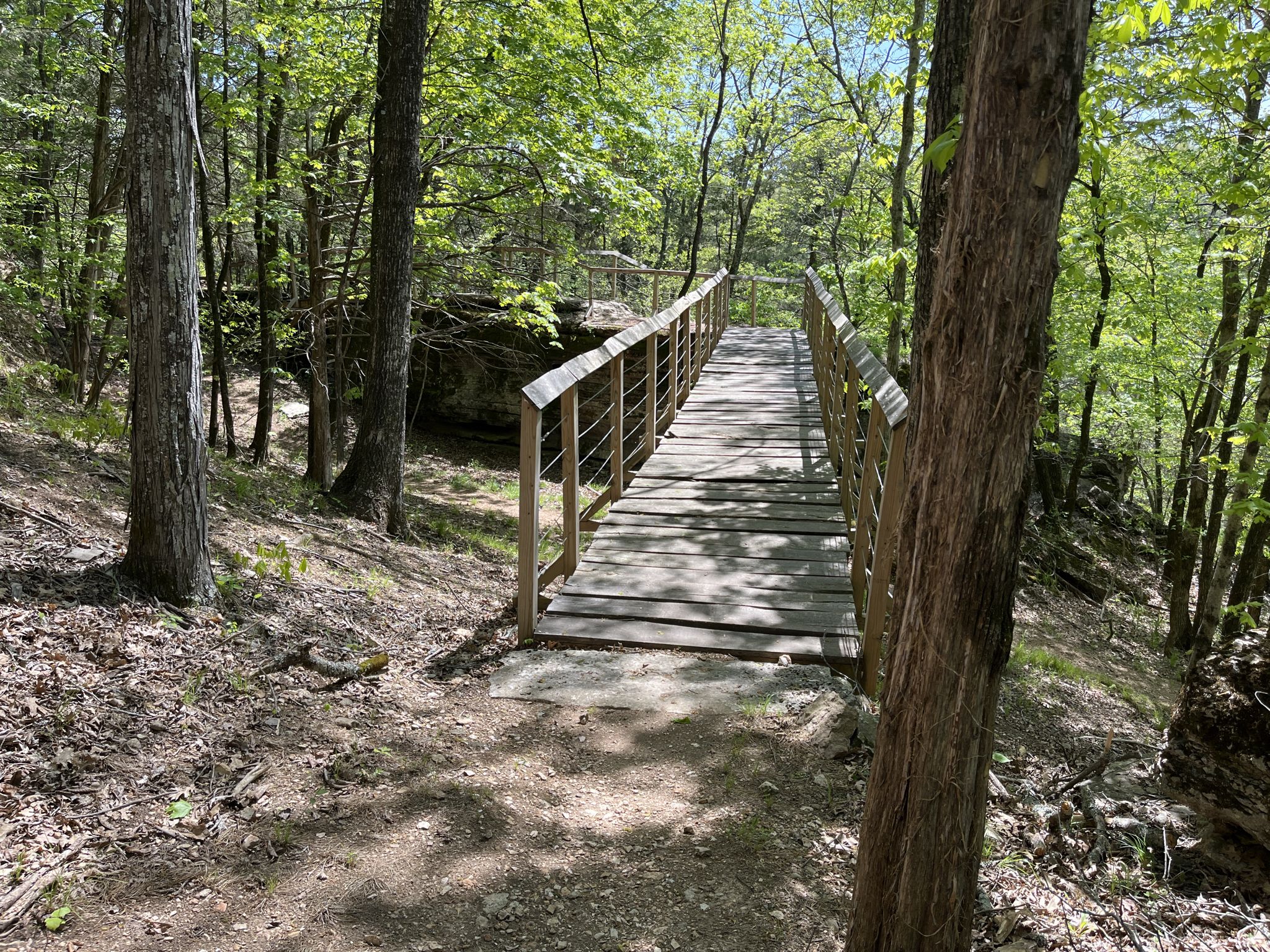 A wooden bridge with railings extends into a sunny, green forest. - Genesis Trail Loop
