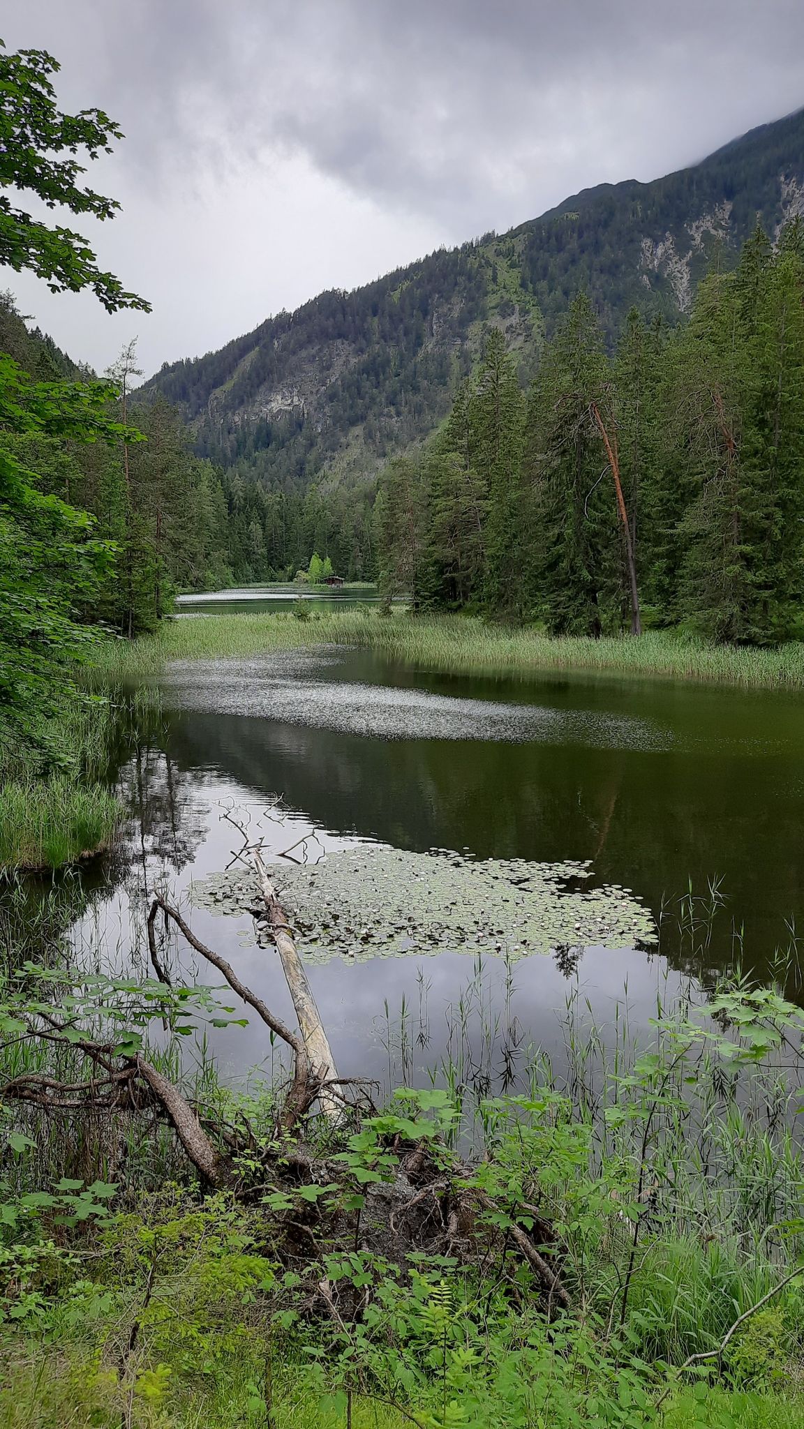 Mittersee (Ausläufer)
