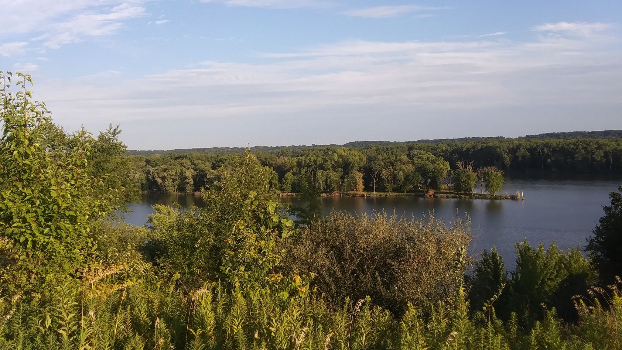 Sunny view of a calm lake surrounded by lush green forests. - River Bluff Trail Loop