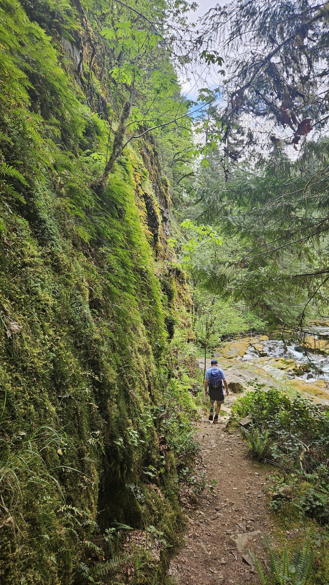 A person hikes on a dirt trail beside a mossy cliff and flowing river. - Brice Creek and Crawfish loop