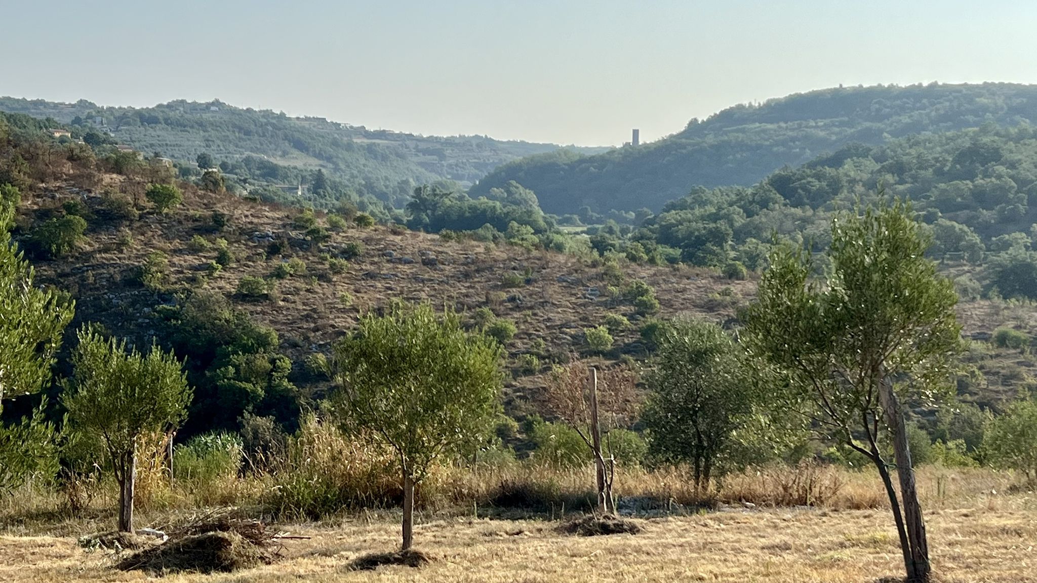 Auf der Istrischen Weinstraße bei Kremenje, in der Ferne grüßt das Kastell / Ruine von Momjan kommt in Sicht.