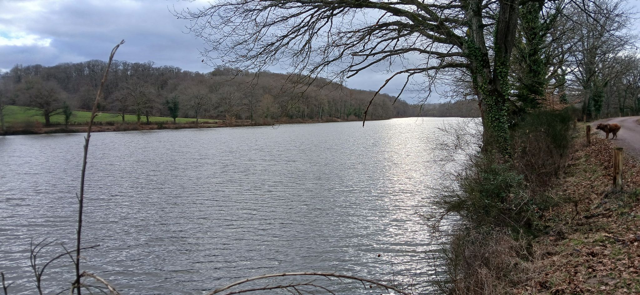 Etang des Gannes.
