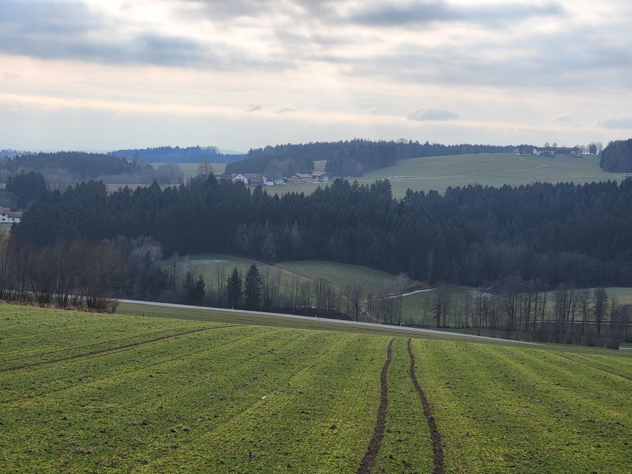 Fuchsledt