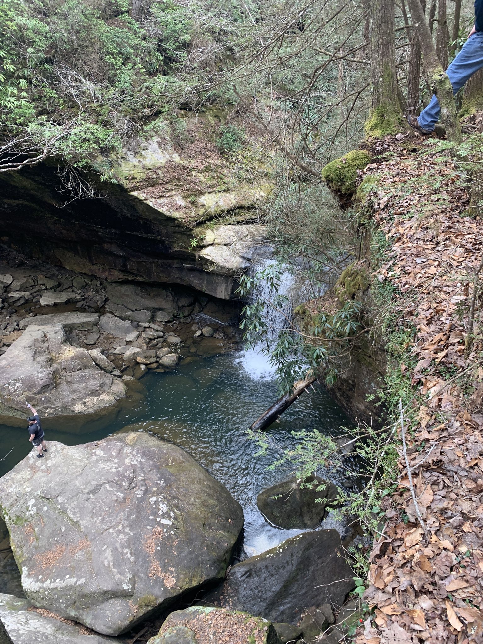 Small waterfall in a rocky gorge with a person standing above. - Dog Slaughter Falls on the Sheltowee Trace Trail