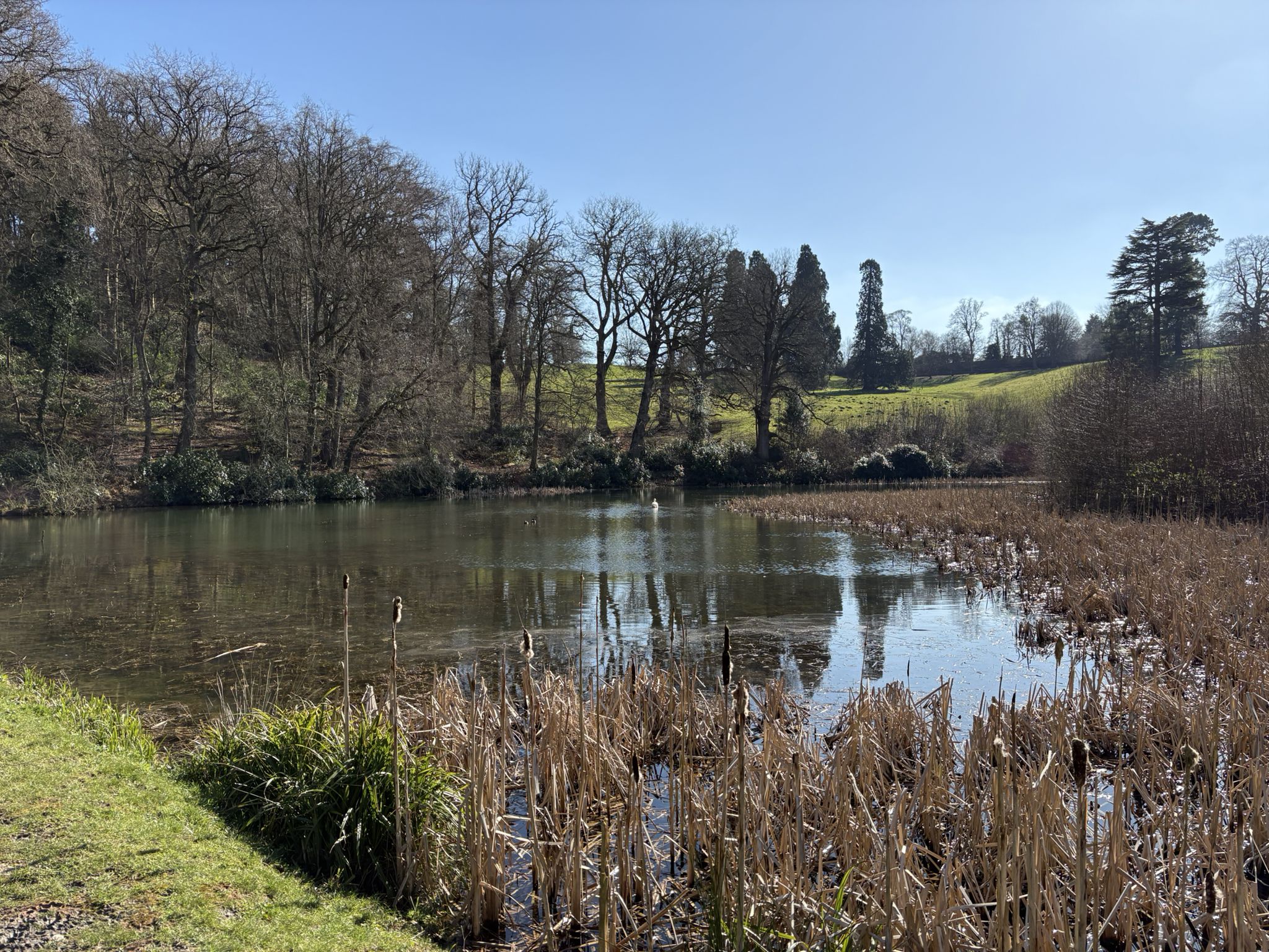 The Lawn Pool