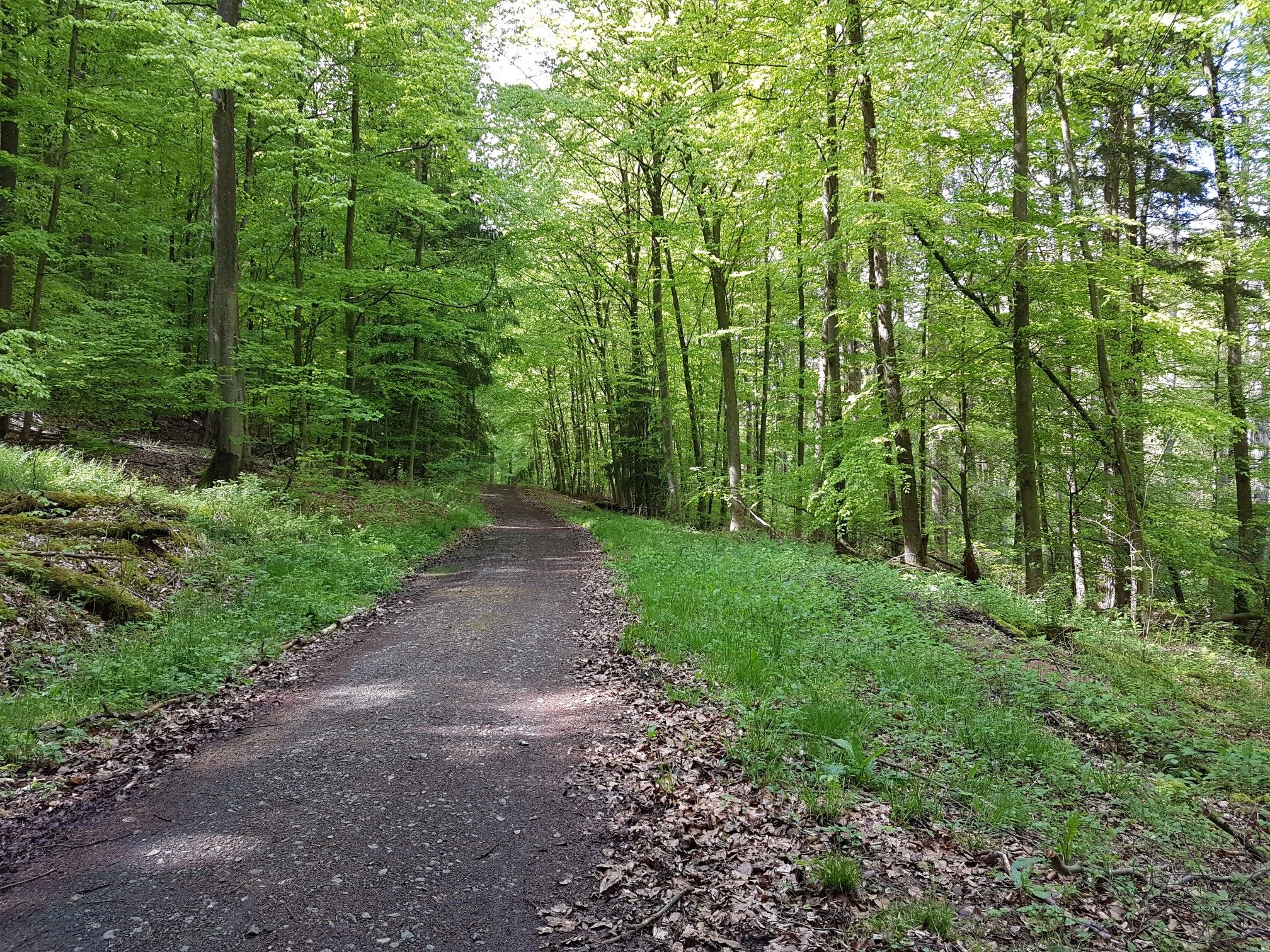 Fuß- und Radweg zur Furtuna 