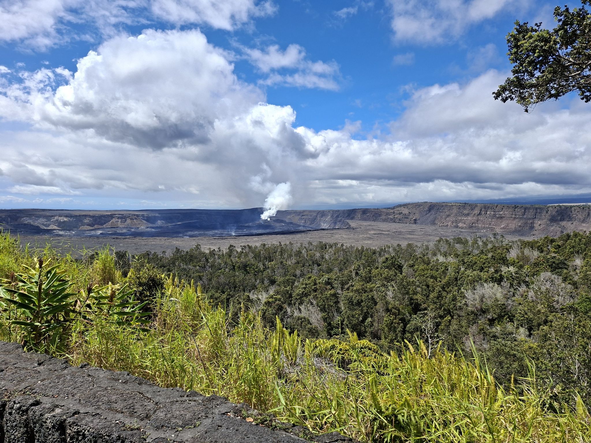 Panoramic view of a steaming volcanic landscape with lush green foreground. - Crater Rim Trail