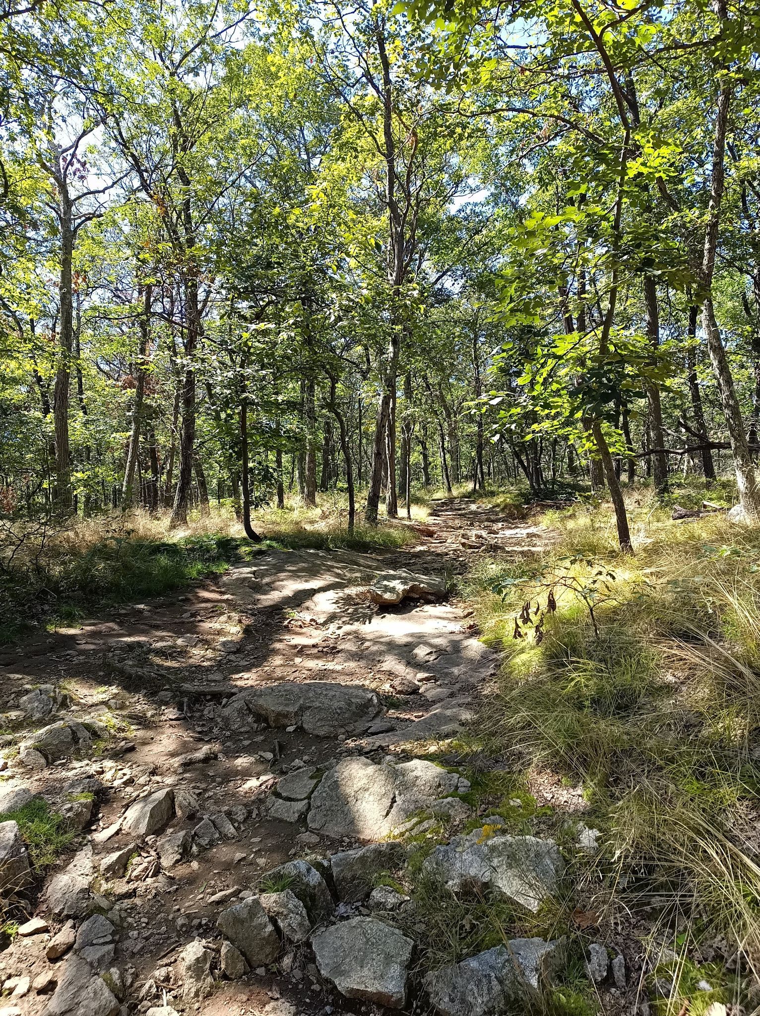 A wide, sunlit forest trail with many rocks and green trees. - Anthony's Nose via Camp Smith Trail