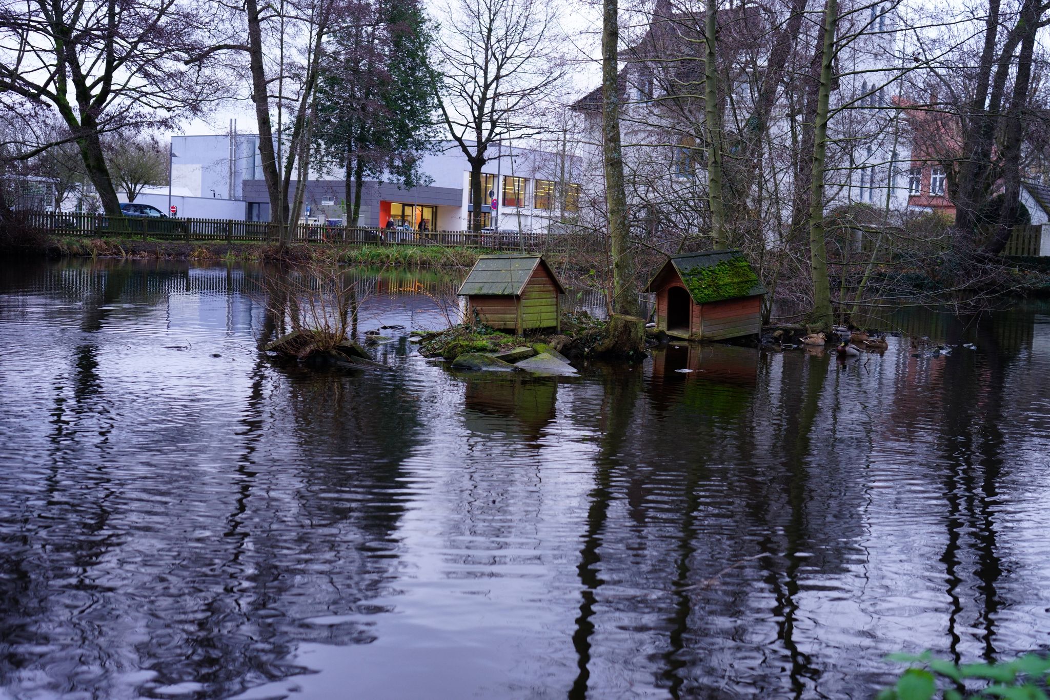 Am Ziegenteich -2
