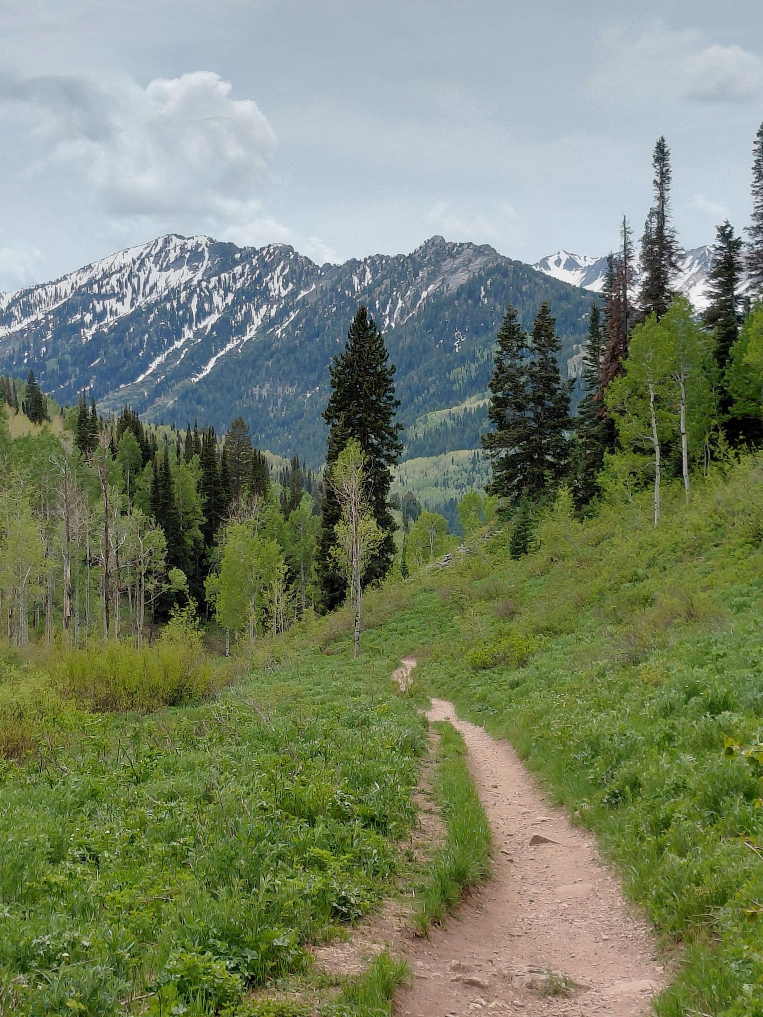 A dirt path winds through a green meadow towards snow-capped mountains. - Desolation Lake via Mill D North Fork Trail