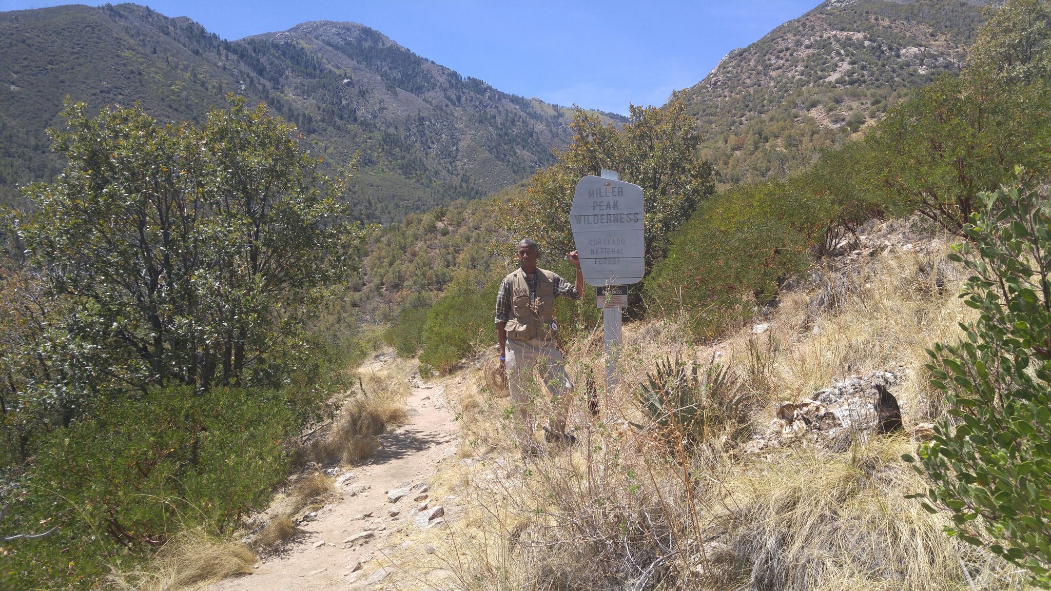 Miller Wilderness Sign